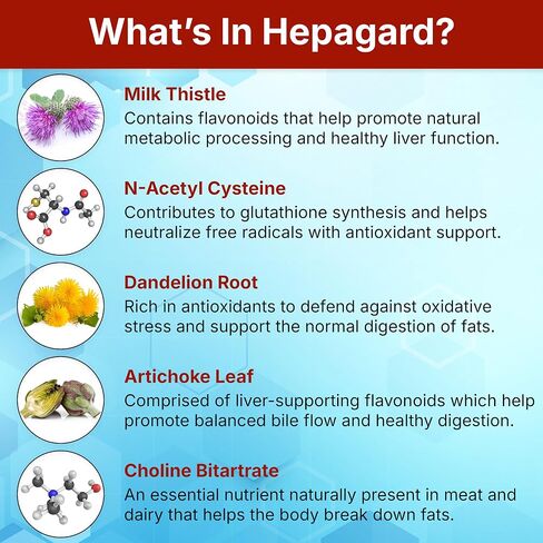 Hepagard - Natural Liver Support Supplement Capsule with N-Acetyl Cysteine (NAC) - Non-GMO, Gluten-Free in Kuwait