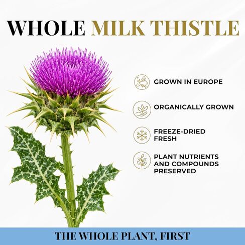 Eclectic Milk Thistle 600 Mg Fduv, Blue, 120 Count in Kuwait