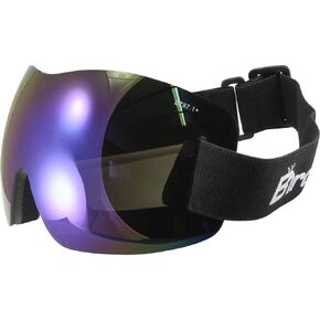 Birdz Eyewear Starling Sport Skydiving Snowboarding Motorcycle Riding Goggles Blue ReflecTech Mirror Lens
