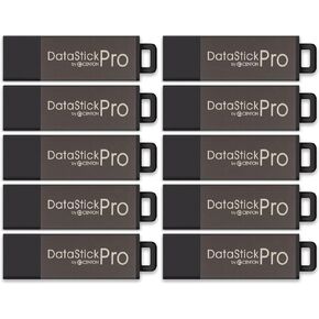 Centon Electronics DataStick Pro USB 2.0 Flash Drive, 2 GB, 100 USB Flash Drives, 100 Bulk Pack, Grey