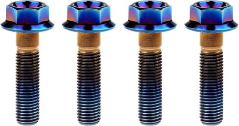 Wanyifa Ti Screws M10 x 20 25 30 35 40 45 50 55 60 65 70 75 80 100mm 1.25 Pitch Titanium Flange Hex Bolt Pack of 4 (Silver, M10x30mm) in Saudi Arabia