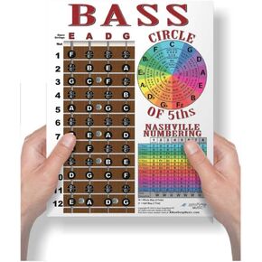 Laminated 4 String Bass Fretboard Notes Chart Nashville Number System & Circle of 5ths Easy Instructional Poster for Beginner for Notebook - A New Song Music 8.5 x 11 in Kuwait
