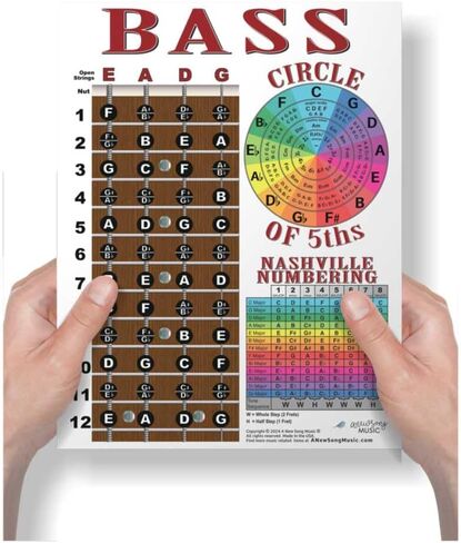 Laminated 4 String Bass Fretboard Notes Chart Nashville Number System & Circle of 5ths Easy Instructional Poster for Beginner for Notebook - A New Song Music 8.5 x 11 in Kuwait