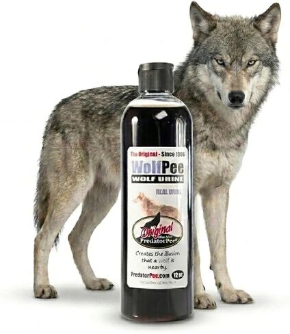 Predator Pee 100% Wolf Urine - Territorial Marking Scent - Creates Illusion that Wolf is Nearby - 12 oz in Kuwait