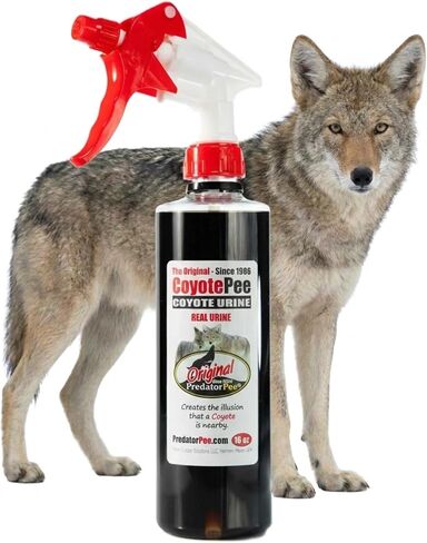 Predator Pee 100% Coyote Urine - Territorial Marking Scent - Creates Illusion That Coyote is Nearby - 16 oz in Kuwait