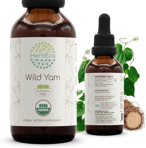 Wild Yam B120 USDA Organic Alcohol-Free Herbal Extract Tincture, Concentrated Liquid Drops Natural Wild Yam (Dioscorea Villosa) Dried Root 4 fl oz in Kuwait