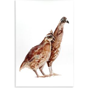 Stupell Industries Quail Bird Pair Children's Nursery Watercolor Painting Wildlife Wall Plaque, 13 x 19, Brown in Kuwait