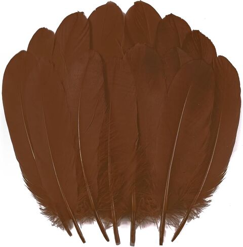 Ballinger Colorful Goose Feathers for Crafts - 120Pcs 6-8inch Craft Colored Feathers for DIY Crafts,Angel Wings,Dream Catcher and Wedding Party Decor in Kuwait