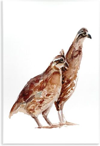 Stupell Industries Quail Bird Pair Children's Nursery Watercolor Painting Wildlife Wall Plaque, 13 x 19, Brown in Kuwait