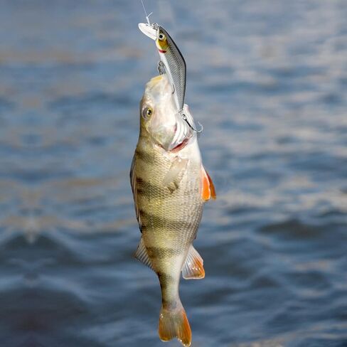 Fishing Lures, Minnow Popper Crank Baits Pencil Bass Trout Fishing Lures with Hooks, Topwater Artificial Hard Swimbaits for Saltwater Freshwater Trout Walleye Blueback Salmon Catfish in Kuwait