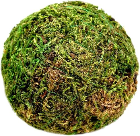 SuperMoss (25542 Moss Balls, Fresh Green, 6" (3 Pack) in Kuwait