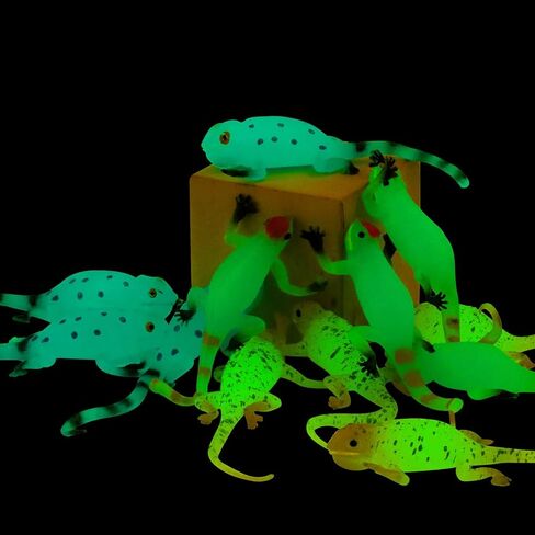 Glow in The Dark Lizard Set,12 Pack Stretchy Realistic Reptile Toy Set for for Kids Boys Girls,Great for Birthday,Themed Parties,Goodie Bag Fillers,Carnival Prizes in Kuwait