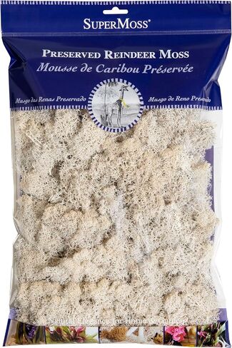SuperMoss (23193) Reindeer Moss Preserved, White, 8oz Bag in Kuwait
