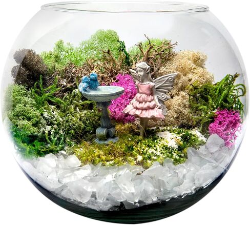 SuperMoss (23193) Reindeer Moss Preserved, White, 8oz Bag in Kuwait
