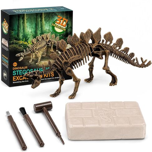 Dig & Discover Dino Stegosaurus Dinosaur Skeleton 3D Fossil Bones Excavation, Science Educational Toy Kit for Kids, Children in Kuwait