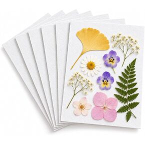 Suziko Flower Pressing Accessories, 6 Sheets Drying Plates Replacement Dried Flower Leaf Plant Fruit Pressing Replacements for DIY Art Handicrafts Specimens Outdoor Learning in Kuwait