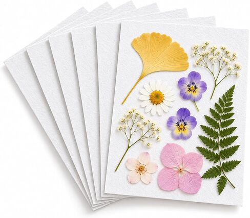 Suziko Flower Pressing Accessories, 6 Sheets Drying Plates Replacement Dried Flower Leaf Plant Fruit Pressing Replacements for DIY Art Handicrafts Specimens Outdoor Learning in Kuwait