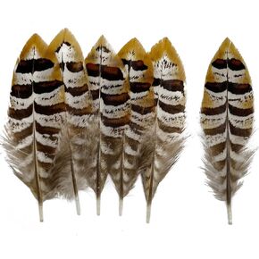 10pcs Natural Spotted Feathers Pheasant Feathers for Craft Clothing Jewelry Accessories Decoration (White Silver Pheasant Wing Feather 6-8") in Kuwait