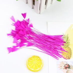 FEARAFTS Natural Black Feathers for Hats Making Fascinators Decoration Stripped Coque Feather Pack of 50 (Black) in Kuwait