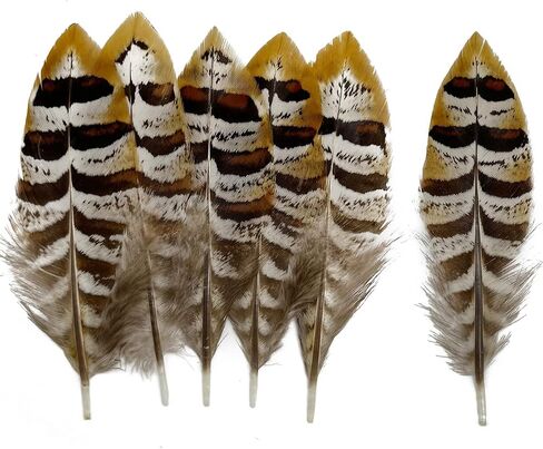 10pcs Natural Spotted Feathers Pheasant Feathers for Craft Clothing Jewelry Accessories Decoration (White Silver Pheasant Wing Feather 6-8") in Kuwait