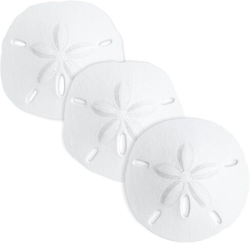 Sand Dollar | Real Sand Dollars 3" to 3 1/2" (Set of 3) | Sand Dollar Shells | Wedding Seashell Craft | Plus Free Nautical eBook by Joseph Rains in Kuwait