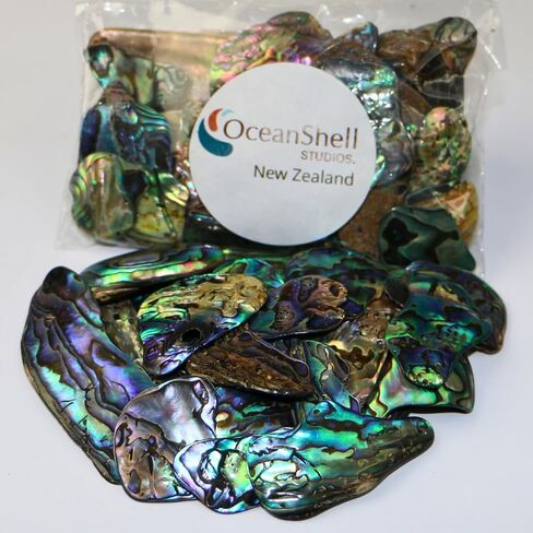 Abalone (Pāua) Shell Pieces-2.65oz Pack-for Crafts, Jewelry Making, Resin Art, Inlay, Home Decorations, Fishtank Supplies, DIY Projects - Satin, Small Size .60"- .98" (15-25 mm) 2.65oz (75grams) in Kuwait