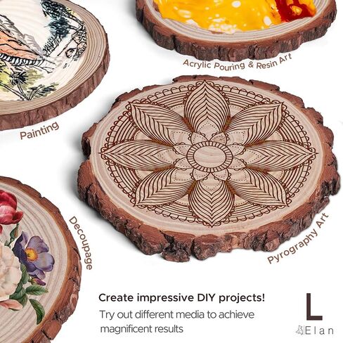 Elan Wood Slice 9.5-10.5INCH Diameter 6 pcs, Natural Wood Slices for Crafts, Wooden Slices for Craft, Natural Wooden Log Slices Craft Wood Tree Slice Wooden Circles for Craft, Log Slice, Wooden Slice in Kuwait