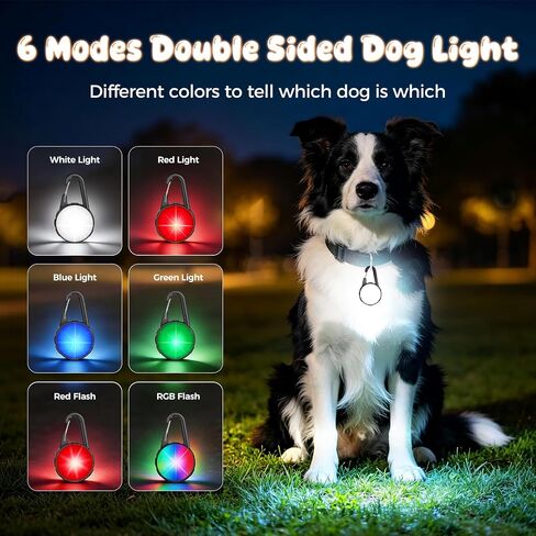 Dog Collar Light, 2 Packs 4 Modes Dog Collar Lights for Nighttime Clip on, High Capacity USB Rechargeable Dog Light, IP68 Waterproof Dog Lights for Night Walking, Climbing, Camping, Cycling, Running in Kuwait