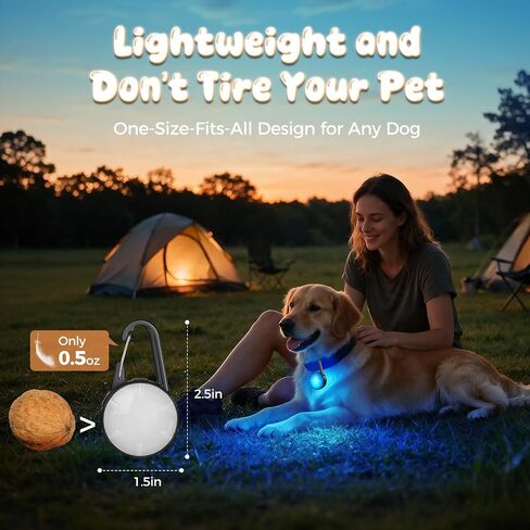 Dog Collar Light, 2 Packs 4 Modes Dog Collar Lights for Nighttime Clip on, High Capacity USB Rechargeable Dog Light, IP68 Waterproof Dog Lights for Night Walking, Climbing, Camping, Cycling, Running in Kuwait