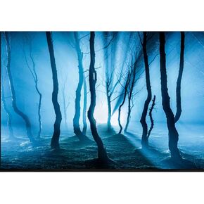 ELEBOX Fish Backgrounds Paper Double Sides 3D Stone & Trees Aquarium Background Picture 12" x 32" Fish Tank Background in Kuwait