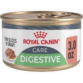 Royal Canin Digestive Care Thin Slices in Gravy Wet Cat Food, 3 oz can (12-count) in Kuwait