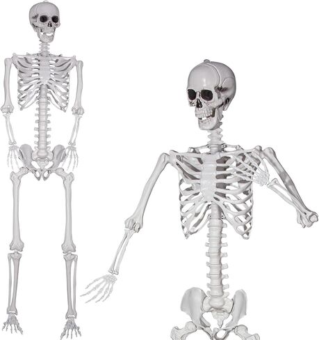 XONOR 16" Posable Halloween Skeleton- Full Body Halloween Skeleton with Movable Joints for Haunted House Props Decorations (10pcs) in Kuwait