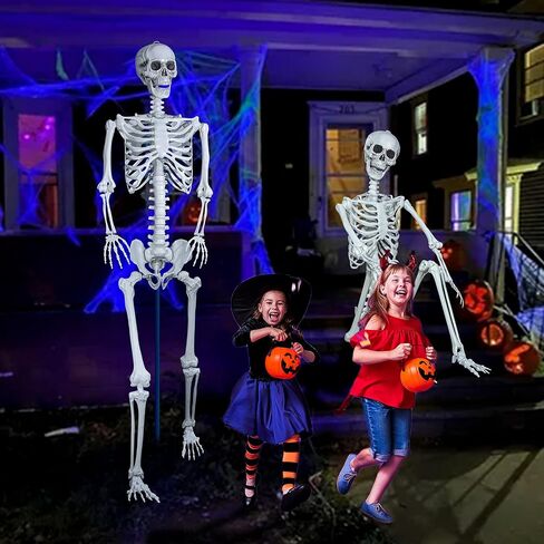 XONOR 16" Posable Halloween Skeleton- Full Body Halloween Skeleton with Movable Joints for Haunted House Props Decorations (10pcs) in Kuwait