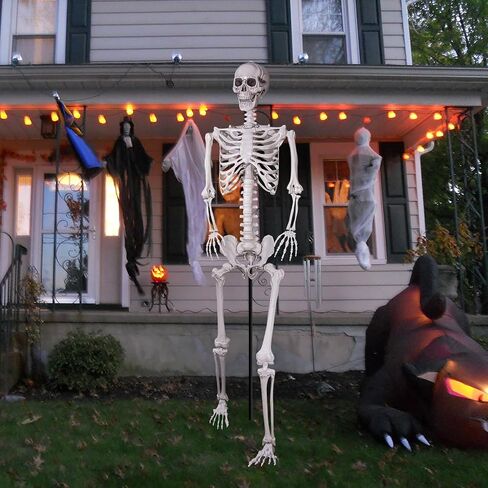 XONOR 16" Posable Halloween Skeleton- Full Body Halloween Skeleton with Movable Joints for Haunted House Props Decorations (10pcs) in Kuwait