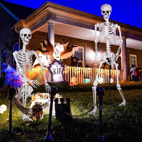 XONOR 16" Posable Halloween Skeleton- Full Body Halloween Skeleton with Movable Joints for Haunted House Props Decorations (10pcs) in Kuwait