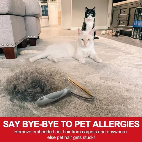 Pet Hair Remover, Dog Cat Hair Remover, Lint Cleaner Pro, Fur Removal Tool, Portable Carpet Scraper, Fuzz Rollers Hairball Shaver for Carpets, Car Mat, Couch, Pet Bed, Furniture & Rug (Purple, 2-Pack) in Kuwait