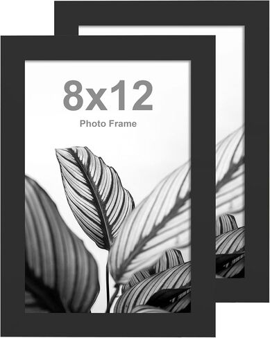 FrameWorks 18"x24" Wooden Poster Frame, Classic Black Matte Edged Frames w/Shatterproof Acrylic Glass, Photos, Posters, Prints, Wall Decor – Home, Office, Gallery Display - Black - 2 Pack in Kuwait