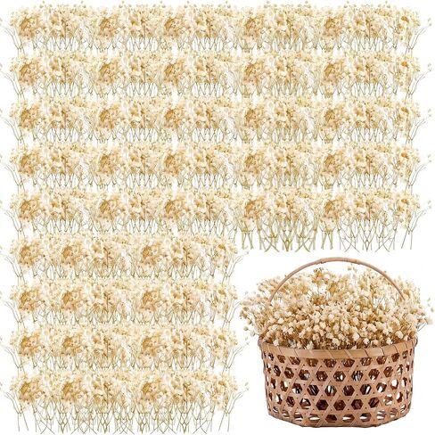 300 Pcs Mini Dried Baby Breath Flowers Gypsophila Ivory Natural Flowers Dried Flowers for Vase Wedding Home Office Party Garden Card Making Decor Wreath Floral Craft DIY Art 2-4 Inches in Kuwait