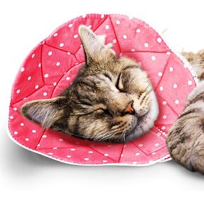 SunGrow Cat Cone Collar Soft Washable, Cat Recovery E Collar Sleep Cone After Surgery to Stop Licking, Pet Cone of Shame Alternatives, Scratch & Bite Proof Grooming Soft Cone for Easy Nail Cutting in Kuwait
