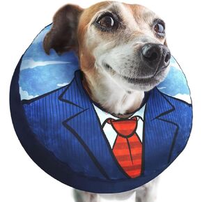 Small Dog Donut Collar - Inflatable Dog Cone Alternative for After Surgery Recovery. Donut Dog Cone Small Size Dog. Inflatable Dog Collars for After Surgery Donut Cone for Dogs. Soft Cone Dog in Kuwait