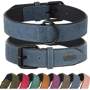 Didog Soft Padded Leather Dog Collar, Breathable Heavy Duty Dog Collar Leather with Adjustable Rust-Proof Metal Buckle for Small Medium Large Dogs, Green, XL in Kuwait
