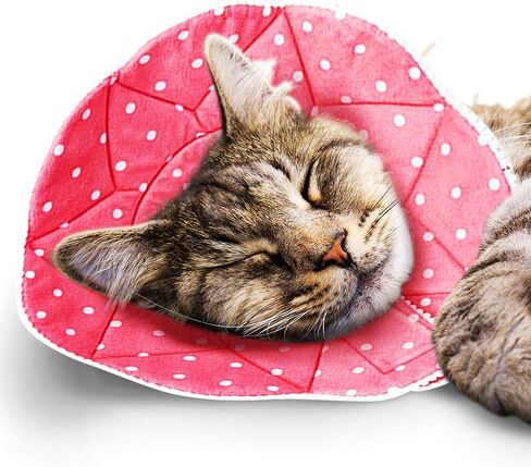 SunGrow Cat Cone Collar Soft Washable, Cat Recovery E Collar Sleep Cone After Surgery to Stop Licking, Pet Cone of Shame Alternatives, Scratch & Bite Proof Grooming Soft Cone for Easy Nail Cutting in Kuwait
