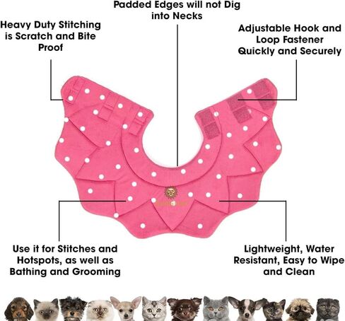 SunGrow Cat Cone Collar Soft Washable, Cat Recovery E Collar Sleep Cone After Surgery to Stop Licking, Pet Cone of Shame Alternatives, Scratch & Bite Proof Grooming Soft Cone for Easy Nail Cutting in Kuwait