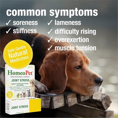 HomeoPet Joint Stress, Joint Support for Dogs and Cats, Liquid Pet Meds to Support Healthy Joint Movement, 15 Milliliters in Kuwait