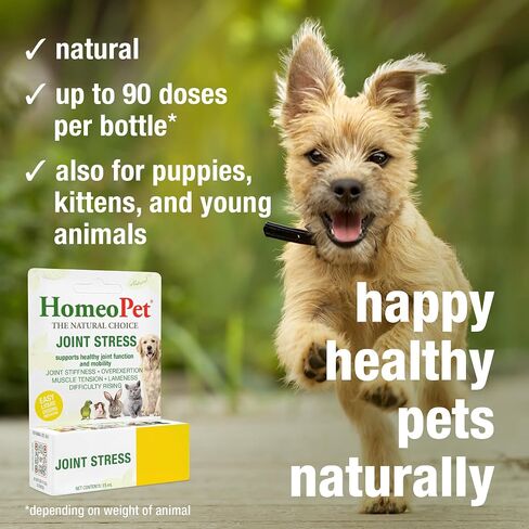 HomeoPet Joint Stress, Joint Support for Dogs and Cats, Liquid Pet Meds to Support Healthy Joint Movement, 15 Milliliters in Kuwait