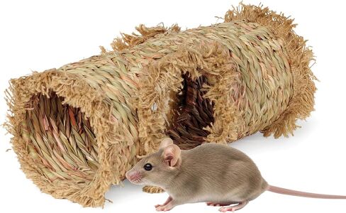 Prevue Hendryx 1098 Nature's Hideaway Grass Tunnel Toy, 13.5" x 6 " in Kuwait