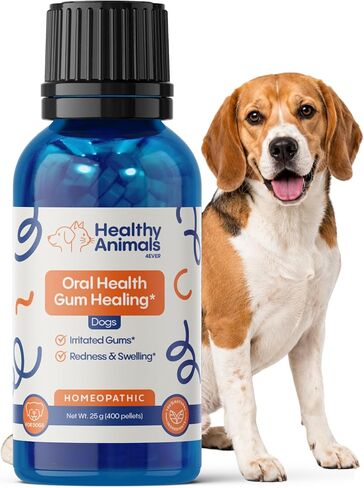 Healthy Animals 4 Ever Oral Health Gum Healing for Dogs - Relieves Inflammation, Soothes Pain, Fights Gum Disease - Natural, Non-GMO, Organic - Gluten, Preservative & Chemical Free Supplement - 300 ct in Kuwait