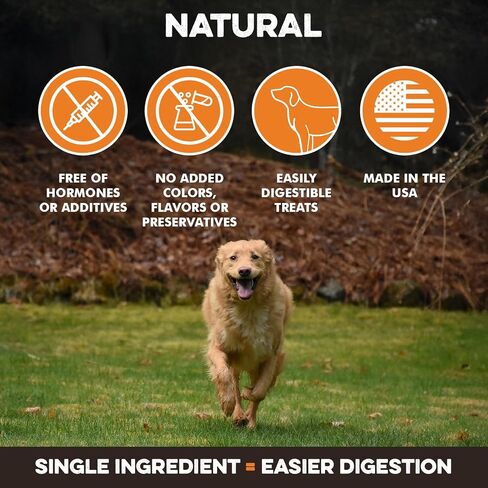 BRUTUS & BARNABY Chicken Jerky Dog Treats- Dehydrated Crunchy USA Premium Fillets, Grain-Free, Preservative-Free, No Fillers. All Natural Chicken Strips are Great for Dogs and Cats (10oz) in Kuwait