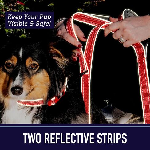 Leashboss Double Handle Dog Leash, Pattern Collection, 6Ft Reflective Dog Leash with Two Padded Handles for Large Dogs or Medium Dogs That Pull (Orange - Blanket) in Kuwait