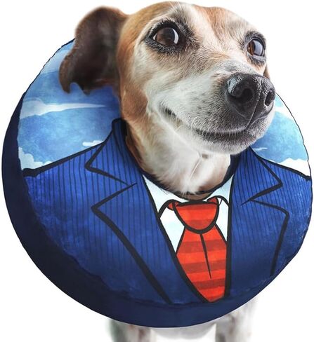 Small Dog Donut Collar - Inflatable Dog Cone Alternative for After Surgery Recovery. Donut Dog Cone Small Size Dog. Inflatable Dog Collars for After Surgery Donut Cone for Dogs. Soft Cone Dog in Kuwait